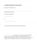 Nombramiento perito mercantil