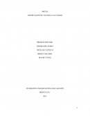 Exportacion mantequilla de mani colombia a peru