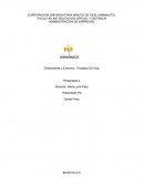 CARACTERISTICAS DE MIS DIMENSIONES