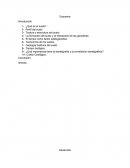 Los suelos. Perfil del suelo