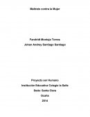 MARCO TEORICO O CONCEPTUAL ¿QUE ES LA VIOLENCIA CONTRA LA MUJER?