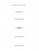 Aprendizaje Autónomo. Taller Manejo Del Tiempo