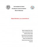 Ética Profesional Mapas Mentales y sus características