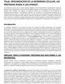 TRASFORMACIONES ELEMENTALES CON MATRIZ