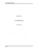 CAPITULO 1 LAS TIERRAS RARAS DEFINICIONES