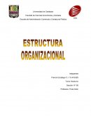 Teoria de las organizaciones
