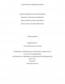 Adapatacio vs personalizacion