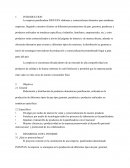 Informe Ejecutivo