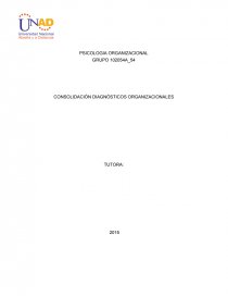 CONSOLIDACIÓN DIAGNÓSTICOS ORGANIZACIONALES. Página 1