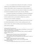 Costos vitro s.a.