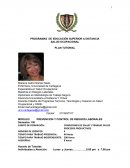 PROGRAMAS DE EDUCACIÓN SUPERIOR A DISTANCIA SALUD OCUPACIONAL PLAN TUTORIAL