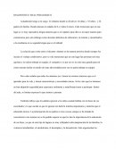 Desarrollo del niño