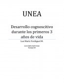 Desarrollo cognoscitivo durante los primeros 3 años de vida