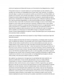 Cuál es la importancia del desarrollo humano en el crecimiento de las organizaciones y el país?