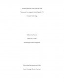 Actitud cientifica como estilo de vida