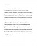 Gestion de personal. El empresario “Rolando Torres”