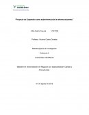 Proyecto de Expansión como sobrevivencia de la reforma aduanera