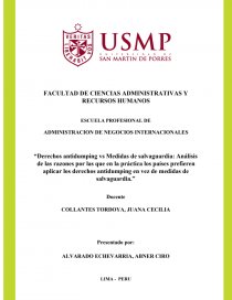 ESCUELA PROFESIONAL DE ADMINISTRACION DE NEGOCIOS INTERNACIONALES. Página 1