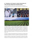 EL TRIÁNGULO DE SABATO COMO PARADIGMA DE UNA EXITOSA INSERCIÓN INTERNACIONAL