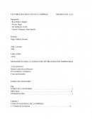 MONOGRAFIA DE ORG