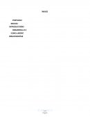 PELÍCULA EN BUSCA DE LA FELICIDAD