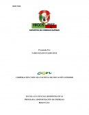 Caso empresa Higos Pizza