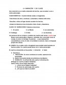 La narración: Definición, características, clases y el cuento del pájaro hablador