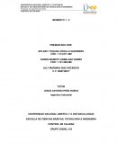 Trabajo colaborativo ARROZ LA CASCARITA LTDA