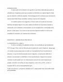 Digestion y absorcion