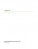 QlikView