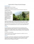 Actividad 1 Guianza Sitios Turisticos