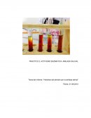 Tema del informe: “Hidrolisis del almidón por la amilasa salival”