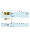 Resumen de parasitos