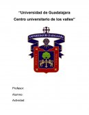 Ensayo la contaminacion