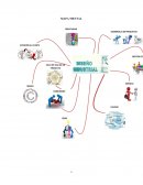 Actividad inicial diseño de producto