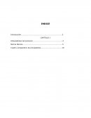 Proyecto de Exportacion INDICE