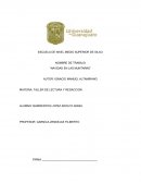 Reporte de lectura ug
