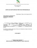 CARTA DE ACEPTACIÓN DE PRÁCTICAS PROFESIONALES