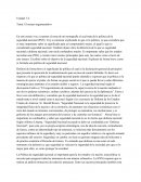 Politica de seguridad (PSN)