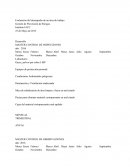 Evaluación del desempeño de un área de trabajo Gestión de Prevención de Riesgos