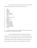 Guia de estudio. Un proyectil se dispara desde una pistola