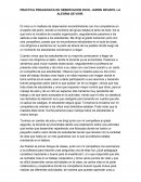 PRACTICA PEDAGOGICA DE OBSERVACION