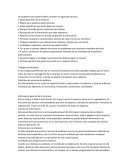 Manual practico para auditor