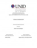 Crear un Sistema de Organización para una Empresa