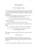 Historia del protocolo