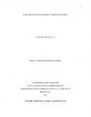 TALLER CAPITULO 1 -2 MICROECONOMIA SIRLEY ANDREA RODRIGUEZ GOMEZ