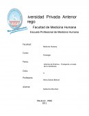 Informe de Práctica – Transporte a través