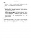 Maximizar el valor de los activos petroleros y los hidrocarburos de la nación, satisfaciendo la demanda nacional de productos petrolíferos con la calidad requerida, de manera segura, confiable, rentable y sustentable