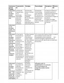 Evaluación Instrumentos de Prueba