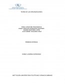 Teoria de las organizaciones INTRODUCCION
